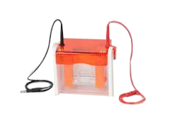 Sistem elektroforesis Biostep